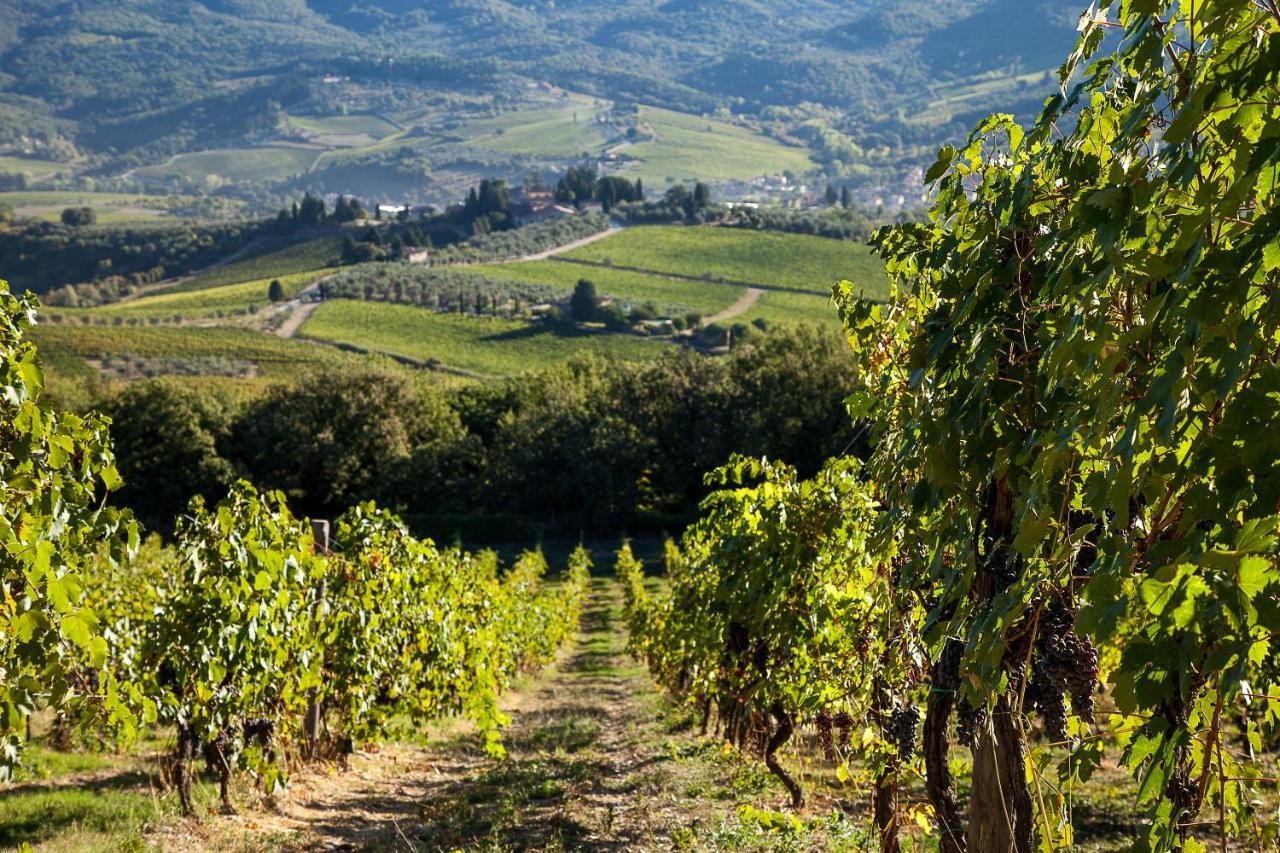 Villa Bordoni Greve in Chianti Exterior photo